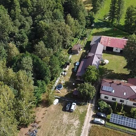 Maciejowka Gospodarstwo Agroturystyczne Poddebice Kültér fotó