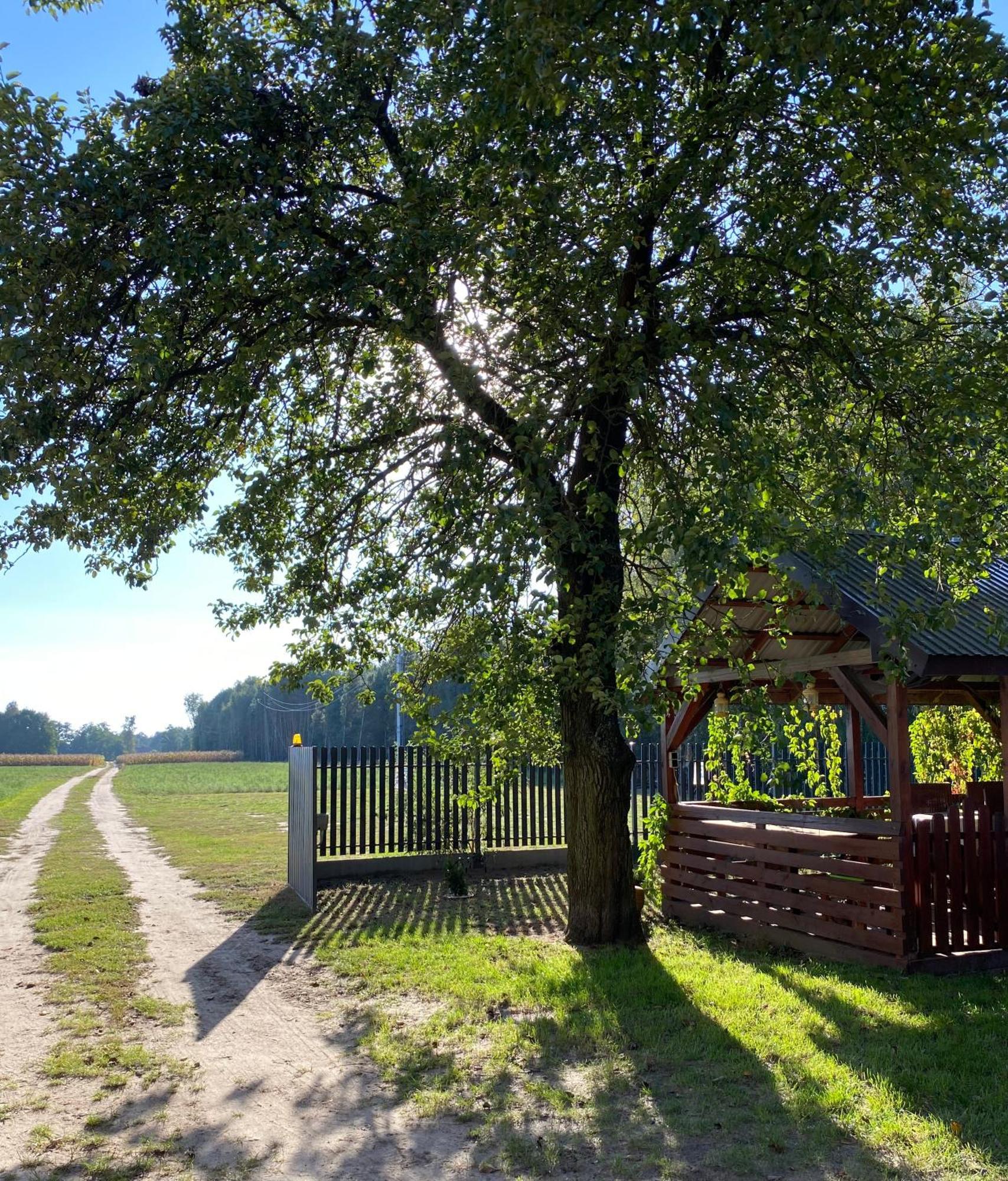 Maciejowka Gospodarstwo Agroturystyczne Poddebice Kültér fotó
