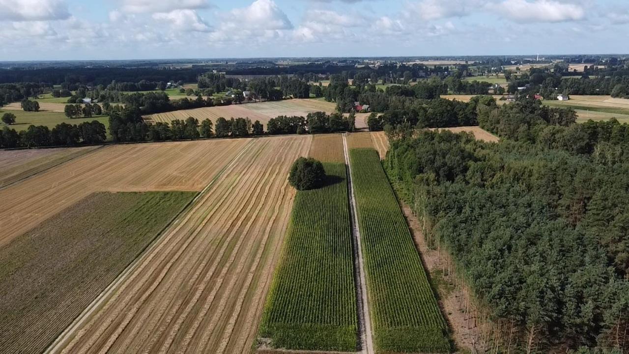 Maciejowka Gospodarstwo Agroturystyczne Poddebice Kültér fotó